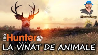 🔴🅻🅸🆅🅴 TheHunter Classic  LA VANAT DE ANIMALE [upl. by Lowson338]