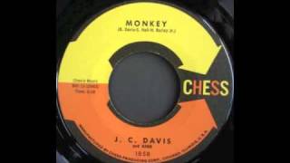 JCDAVIS  MONKEY [upl. by Trakas]