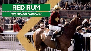 Classic Grand National No 1  Red Rum 1973 [upl. by Holman]