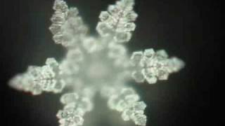 Japan National Anthem Water Crystal [upl. by Mobley]