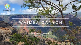 Day Trip Up Waimea Canyon in Kauai [upl. by Sill]