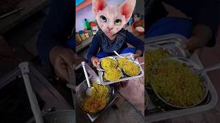 Lalla Lalla Lori dudh ki Katori Lalla Kare Tamasha🐱🐱🐱🐱😀😀😀😛😛😛👈👌👌👌 funny cute viral short video🍚🍚🍚🍚🐱👈👈 [upl. by Jorgan]