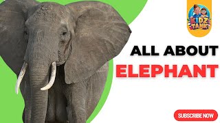 All About Elephants Fascinating Facts for Children [upl. by Ahtiuqal]