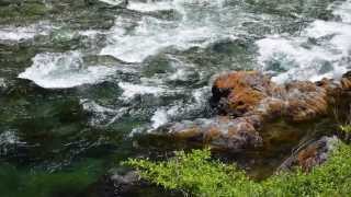 Wild and Scenic Smith River California [upl. by Schmeltzer233]