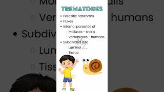 What are trematodes parasitology trendingshorts flatworm medzukhruf microbiology [upl. by Anial]