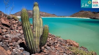 Baja California Sur  A journey through Mexicos quotDesert Paradisequot [upl. by Threlkeld]