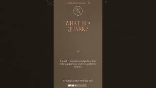 What is a Quark [upl. by Wilkison]