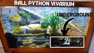 I Built A New Ball Python Vivarium With Crayfish [upl. by Ahtebbat]