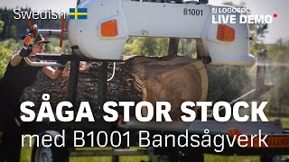 Såga stor stock med B1001 Bandsågverk  LOGOSOL LIVE [upl. by Soinotna633]