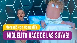 Miguelito hace de las suyas  Morandé con Compañía 2016 [upl. by Yrokcaz]