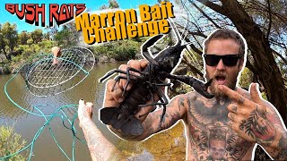 HUNTING MARRON  Special Baits Marron Challenge [upl. by Rome748]