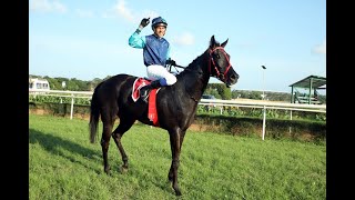 EMPHATIC wins The South India 1000 Guineas Gr2 [upl. by Alimaj]