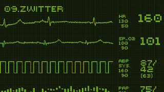 Rammstein  Zwitter Instrumental Cover Remastered Live Version [upl. by Jasisa92]