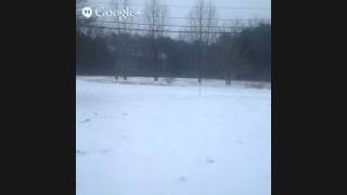 Feb 12 2014 Live Snow Cam NewtonNC [upl. by Criswell572]