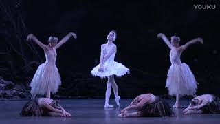 Zenaida Yanowsky  Swan Lake Act 4  Royal Ballet [upl. by Naie754]