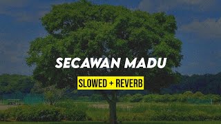 SECAWAN MADU slowedreverb [upl. by Amo261]