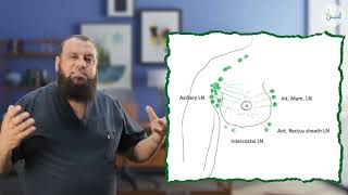 Breast Anatomy 03  Surgery  Prof Ashraf Khater [upl. by Morehouse]