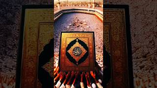 Quran Sharif ki tilawat video [upl. by Heisel]