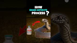 Antivenom Making Process  Horse vs Snake shorts snake antivenom [upl. by Annoval]