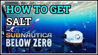 How to get Salt Subnautica Below Zero [upl. by Nocaj]