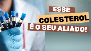 ESSE COLESTEROL É SEU ALIADO NA MENOPAUSA menopausa climaterio nutricionista saudedamulher [upl. by Aldus]