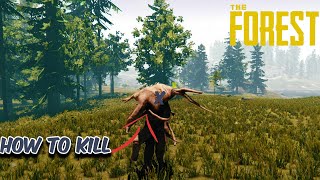 How To Kill an Armsy in The Forest [upl. by Gold]