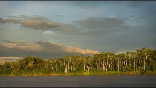 2024 en Amazonie  DOCUMENTAIRE [upl. by Dnomder676]