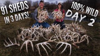 DAY 2 of our RECORD BREAKING SHED HUNT 35 in 1 day  Bowmar Bowhunting [upl. by Sochor]