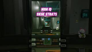 High IQ Siege STRATS 😭 rainbowsixsiege rainbowsix shorts [upl. by Willumsen]