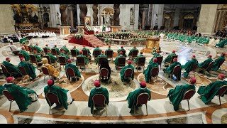 Synod on Synodality How Will it Affect the Church catholicism catholicchurch catholicmass [upl. by Dnalwor]