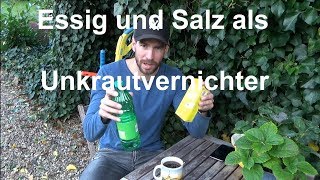 Unkrautvernichter selber herstellen Essig amp Salz erlaubt Warum ihr es lassen solltet Alternativen [upl. by Enneirb82]