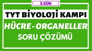 Hücre ve Organeller Soru Çözümleri  TYT BİYOLOJİ KAMPI  3gün [upl. by Feilak]