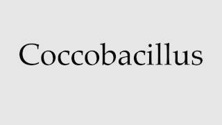 How to Pronounce Coccobacillus [upl. by Lynelle]