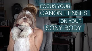 CANON glass on your SONY BODY w Altsons Smart Adapter [upl. by Vilberg]