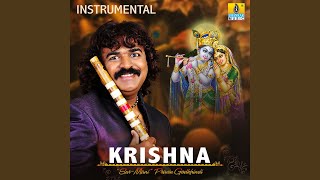 Krishna Instrumental [upl. by Skelton744]