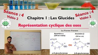 Séance 4  Vidéo 2  cyclisation des aldoses  formation de furanoses [upl. by Godber]