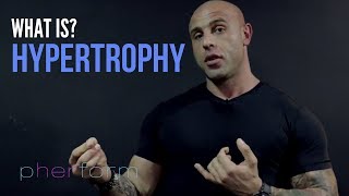 What is Hypertrophy Training [upl. by Otrebogad]