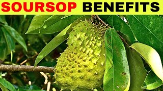 Why You Need To Eat Soursop Graviola  Surprising Benefits of Guyabano [upl. by Ynney]