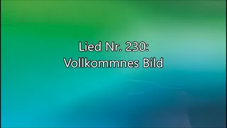 Vollkommnes Bild Lied Nr 230 aus quotGeistliche Liederquot [upl. by Nayek793]