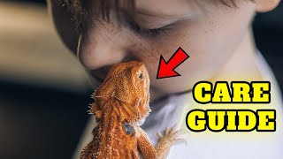 Baby Bearded Dragon Beginners Care Guide  How To Take Care of a Bearded Dragon [upl. by Wesa965]