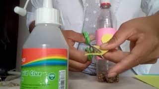 como hacer una maraca con botella de plastico  actividad 2 semana 2 2do y tercero de primaria [upl. by Ostraw]