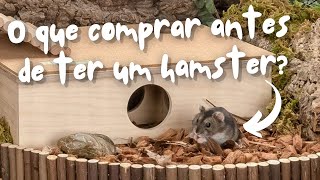 Tudo que você vai precisar se quiser ter um hamster  Cuidados com Hamsters pra Tutores Iniciantes 🐹 [upl. by Hillel]