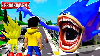 SONIC SHIN TAPES DESTRUIU A CIDADE DE BROOKHAVEN PARTE 2 [upl. by Hamaso146]