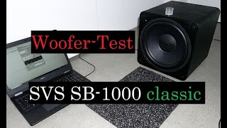 SVS SB1000 Classic im WooferTest [upl. by Charley]