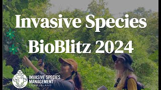 Invasive Species Bioblitz 2024 [upl. by Kancler123]