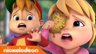 Can Alvin Rescue The Chipmunks From A TOAD Attack  ALVINNN  Nicktoons [upl. by Rhodie174]