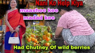 Mashi kee Madad Kee  Nani Ko Help Kiya  Had Chutney Of Wild berries  Village Vlogs 🇮🇳 [upl. by Leunad]