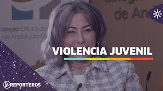 Los reporteros  La explosión delictiva la nueva violencia juvenil en auge [upl. by Materse]