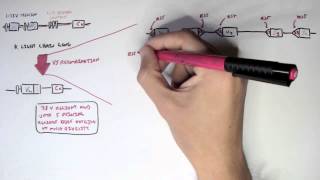 Immunology  Antibody Somatic VDJ Recombination II [upl. by Aleik467]