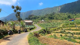 KUTA BALI 🇮🇩 WALKING Tour 2024  Indonesia [upl. by Kip867]